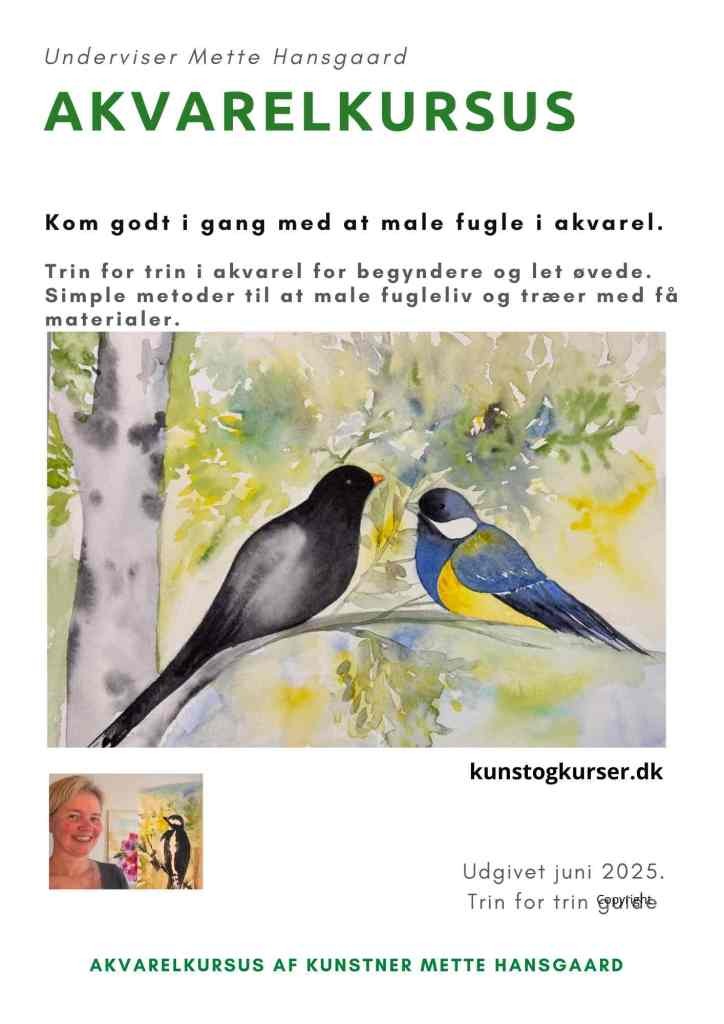 Akvarelkursus-fugle-kreativ-akvareltid
